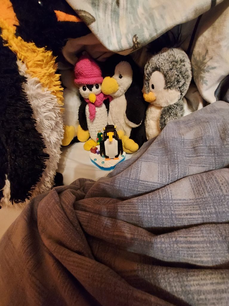 Pinguin WG an Weihnachten im Bett. 
Von rechts nach links
Gordi, Pingu, Schneenine, Ugnip, Junior