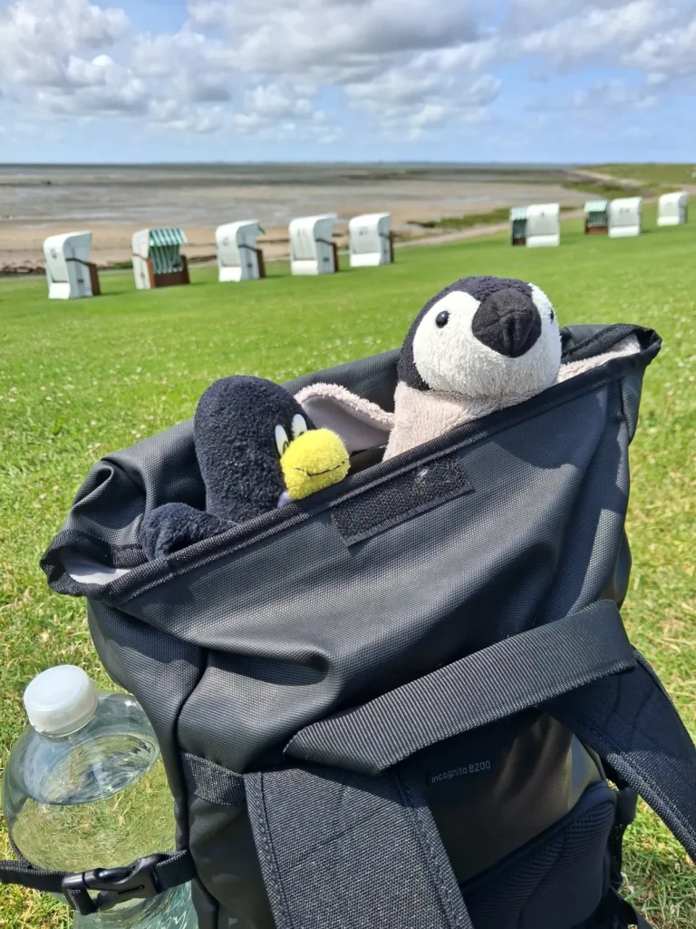Neville und Mütux schauen aus dem Rucksack auf einem grünen Wiesenstrand, im Hintergrund einige Strandkörbe