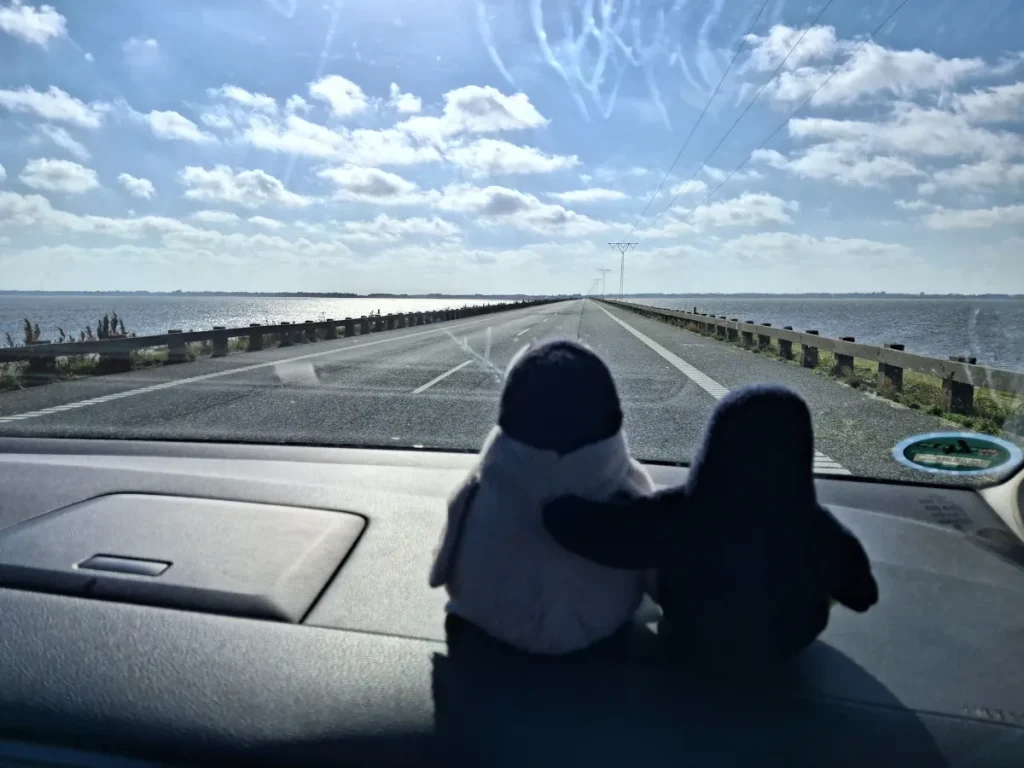 Neville und Mütux im Auto auf dem Weg nach Romo, auf der lange Verbindungsstraße.