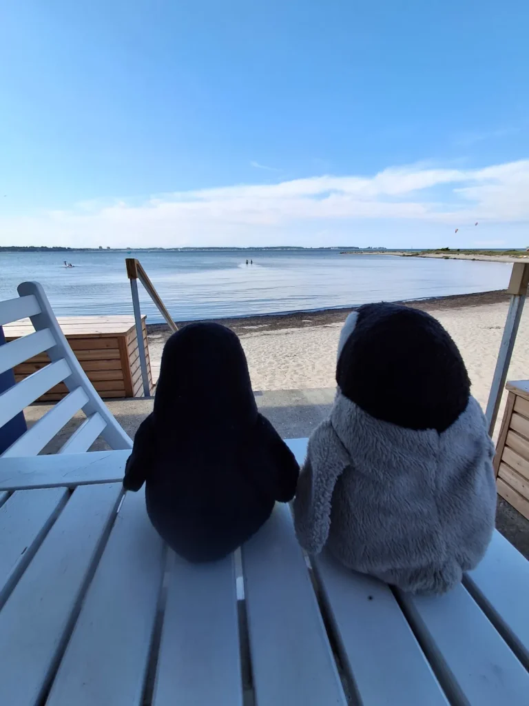 Neville und Mütux sitzen auf einem weißen Tisch und schauen aufs Meer.