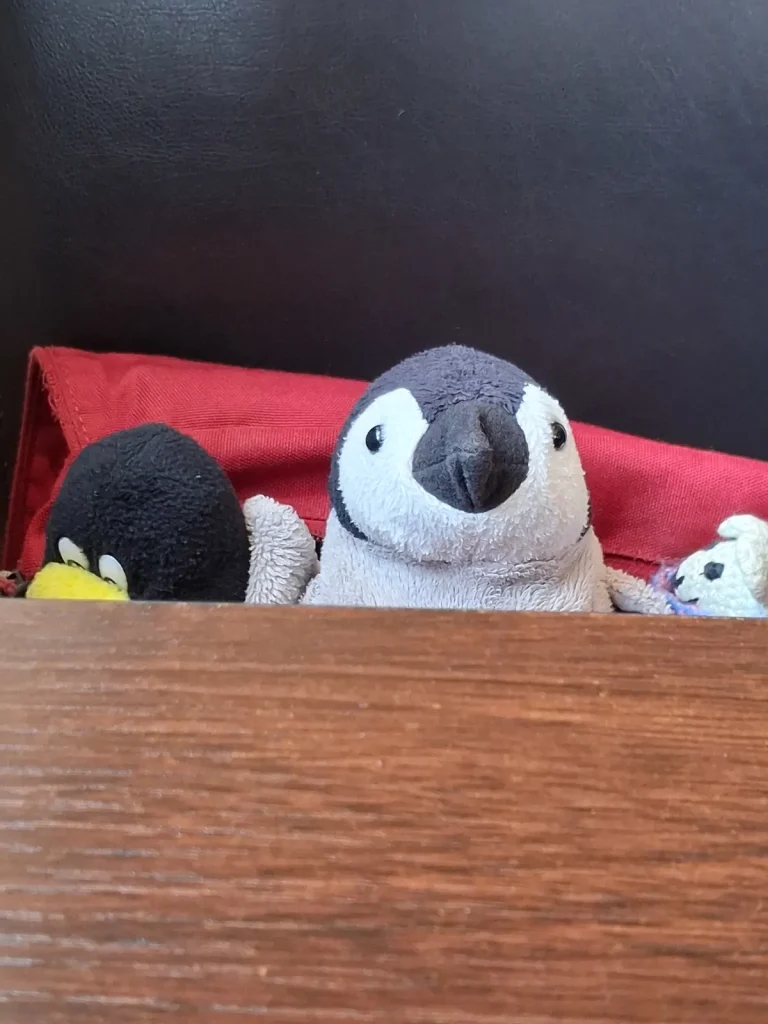 Neville und Mütux warten auf leckeres Essen und schauen auf den Tisch