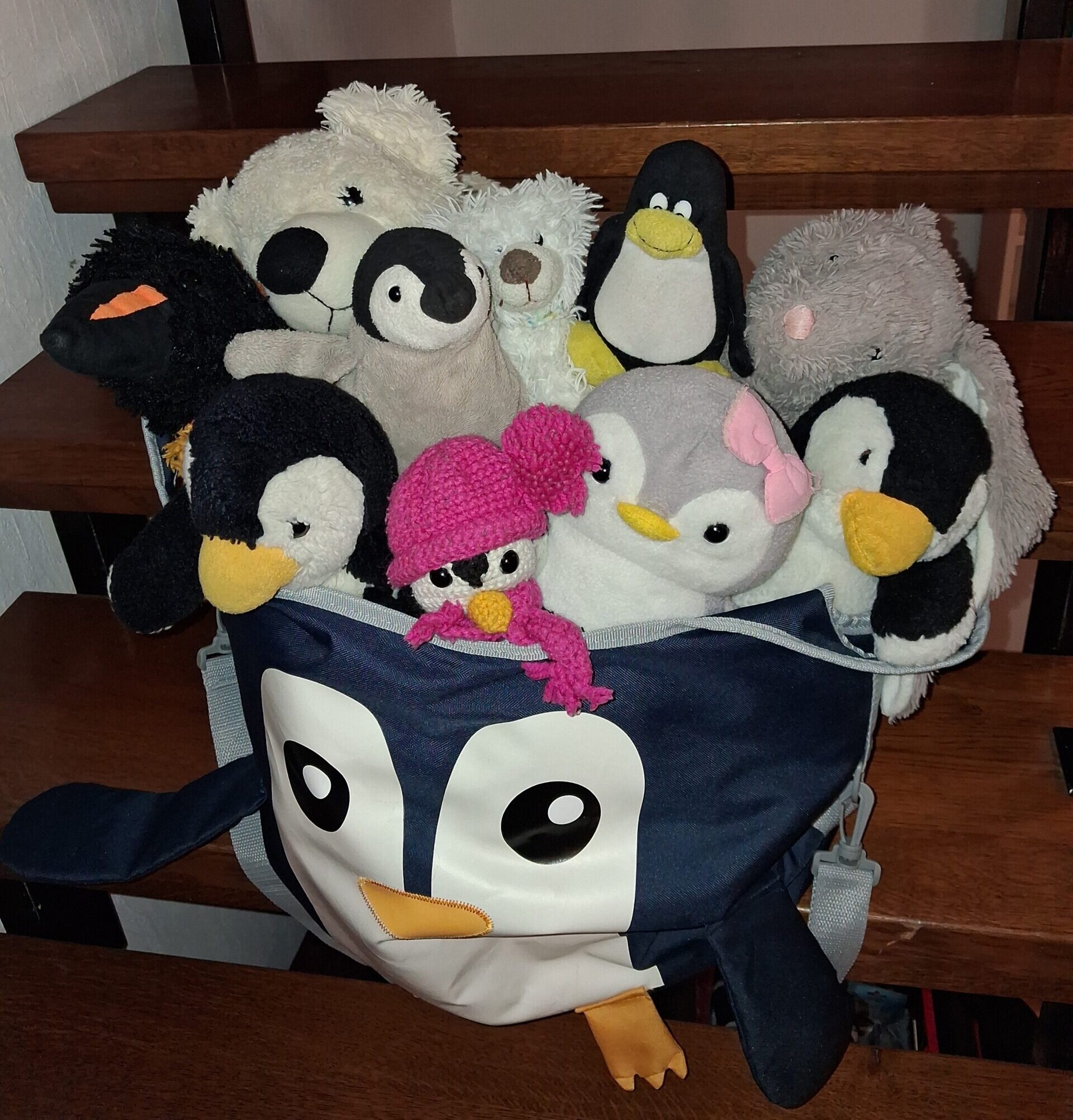 Pinguin-WG auf Tour – wir erobern die Nordsee (1/5)