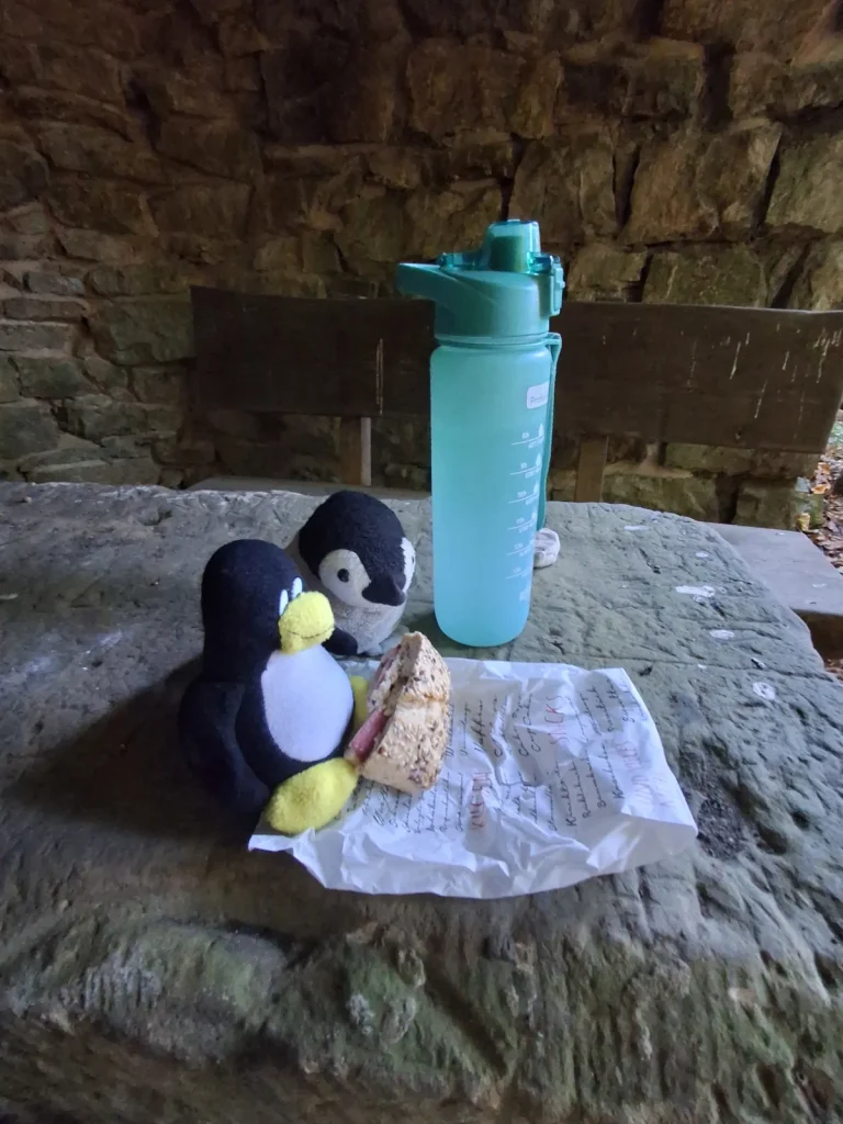 Neville und Mütux packen den Proviant aus und schauen ihn gründlich an.