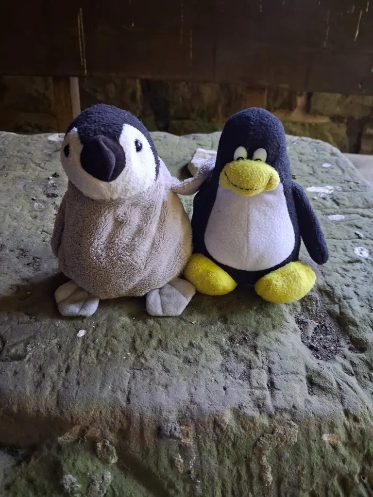 Neville und Mütux vor dem wieder aufgeräumten Rastplatz