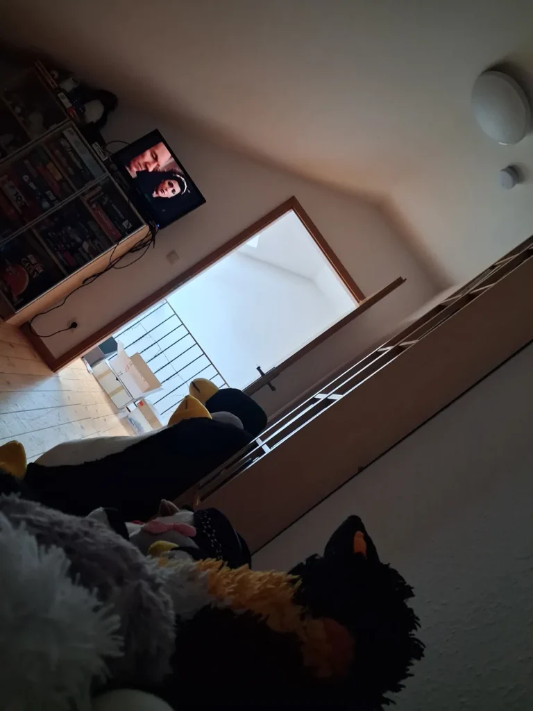 Pinguine sitzen auf dem Sofa und davor und schauen gemeinsam StarTrek