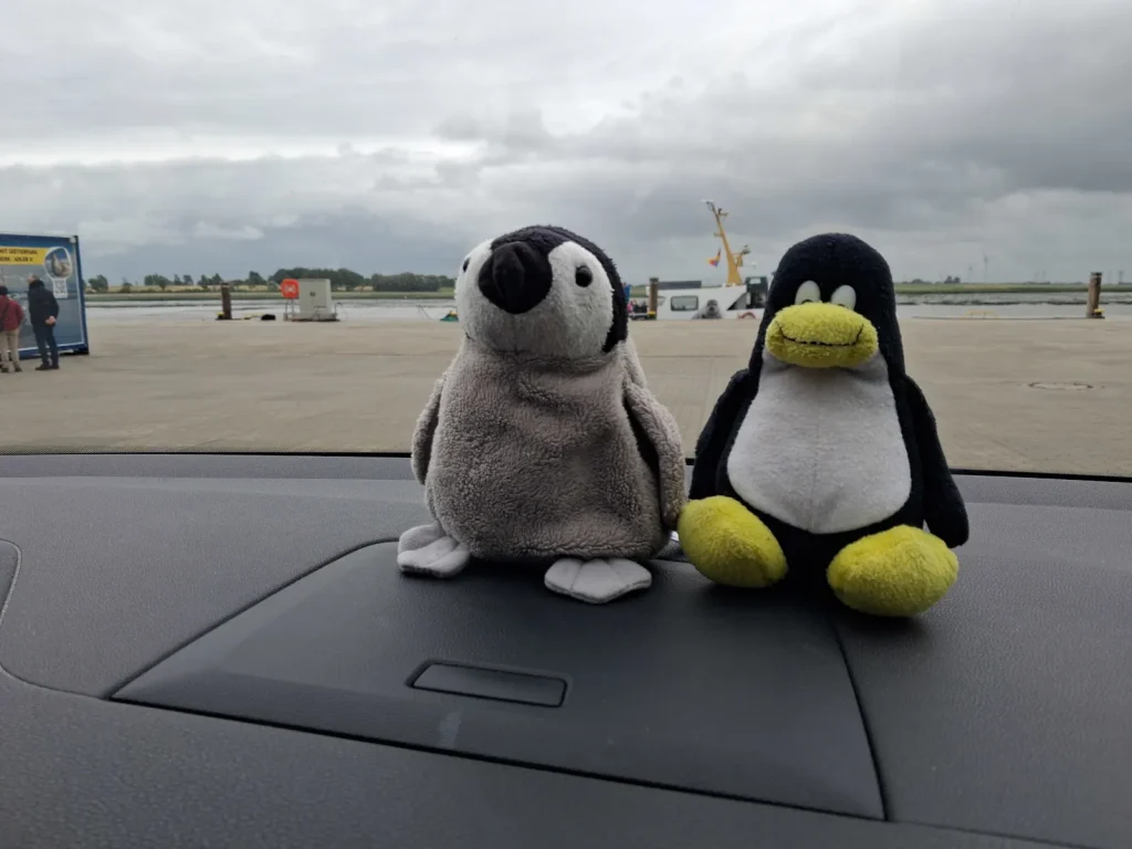 Neville und Mütux auf dem Amaturenbrett, bevor es auf das Schiff ging