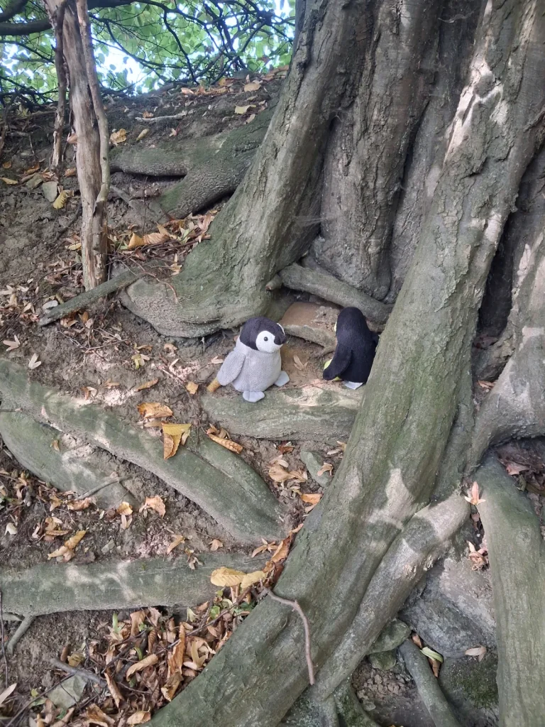 Mütux und Neville untersuchen die Wurzeln eines Baums der Allee genauer.