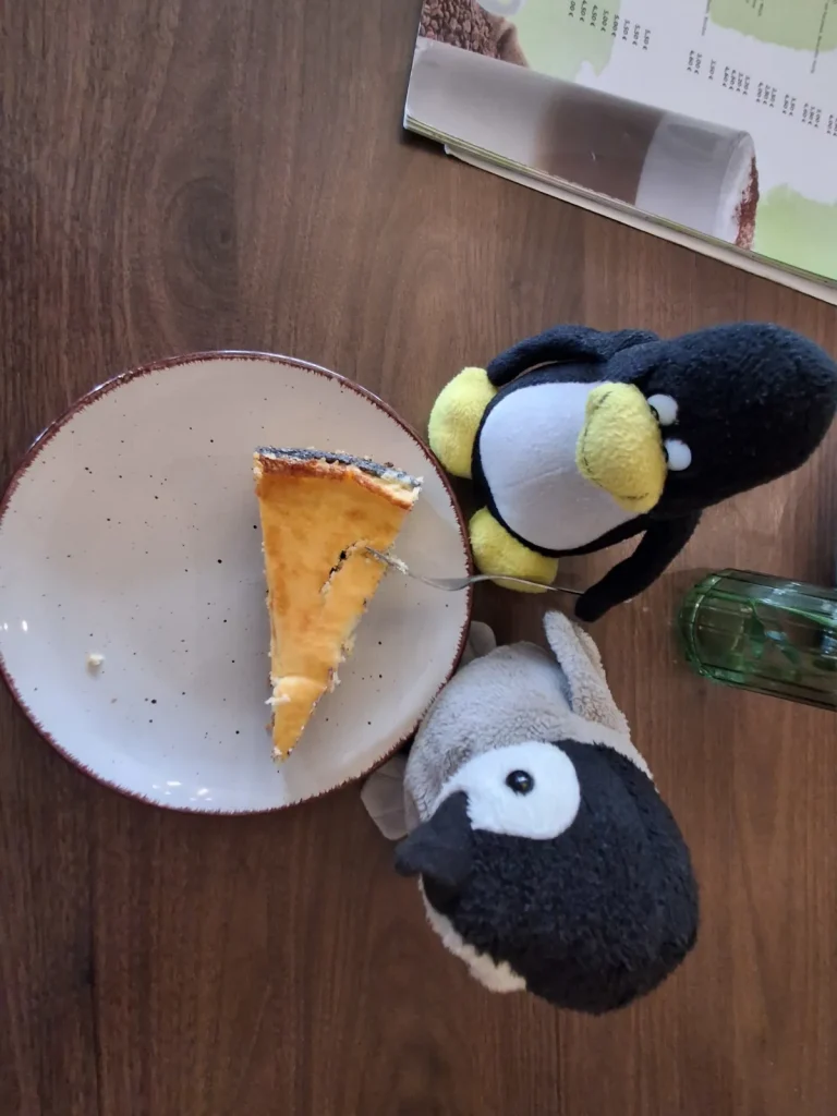 Auf dem Bild sitzen Mütux und Neville, zwei Pinguin-Kuscheltiere, gemeinsam draußen. Sie sind zwischen grünen Pflanzen und herbstlich wirkenden Blättern platziert und scheinen dicht nebeneinander zu sitzen. Im Hintergrund sind weitere Pflanzen und Teile eines Gartens beziehungsweise einer Terrasse zu erkennen. Die Szene wirkt ruhig und gemütlich – fast so, als würden Mütux und Neville gemeinsam eine kleine Pause im Grünen genießen.
