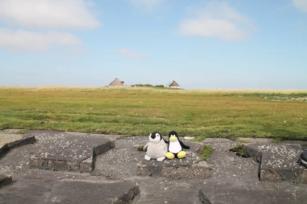 Mütx und Neville auf einem Streifen Steine vor der Hallig Hamburg.