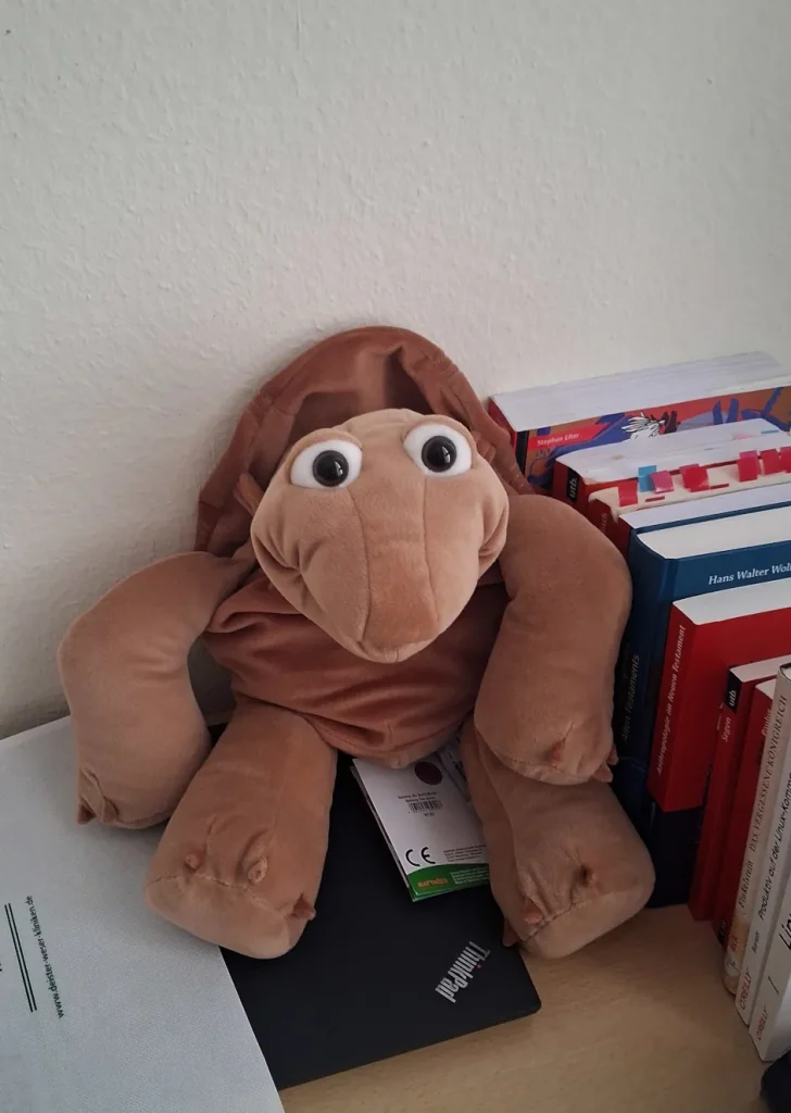 Sammy sitzt auf dem Schreibtisch auf einem Laptop, lässig an die Wand und einige Bücher gelehnt.